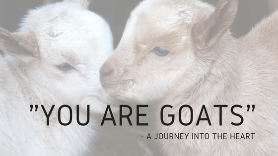 “You are Goats” – A Journey Into the Heart